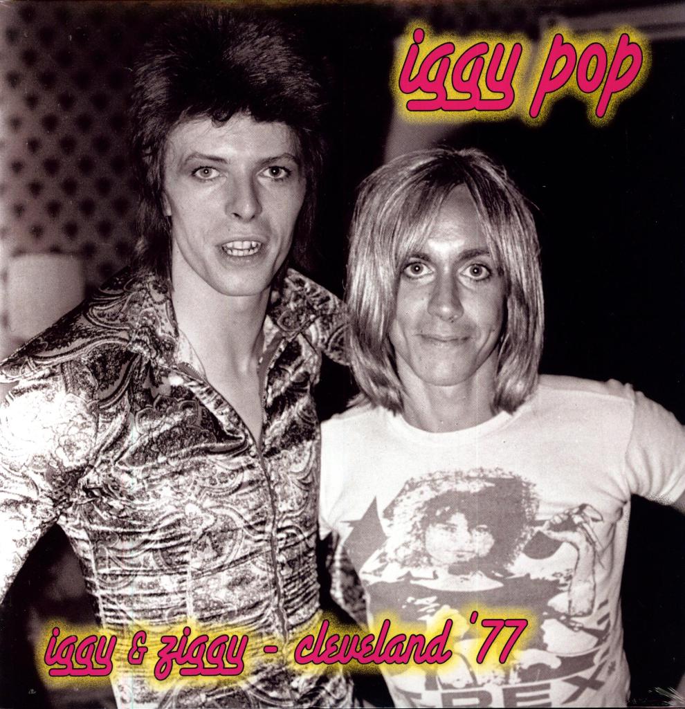 iggy pop iggy & ziggy on Vinyl LP Records get it at What Cheer in Providence