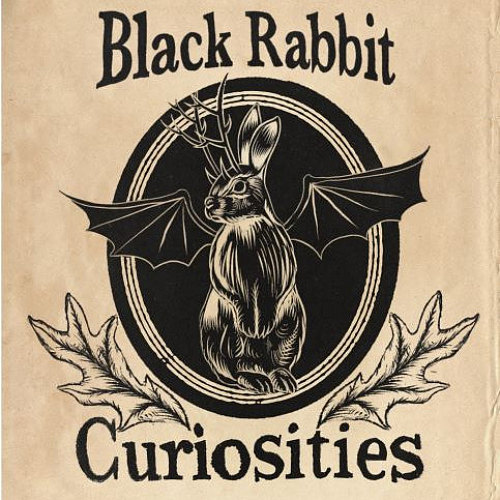 BLACK RABBIT CURIOSITIES